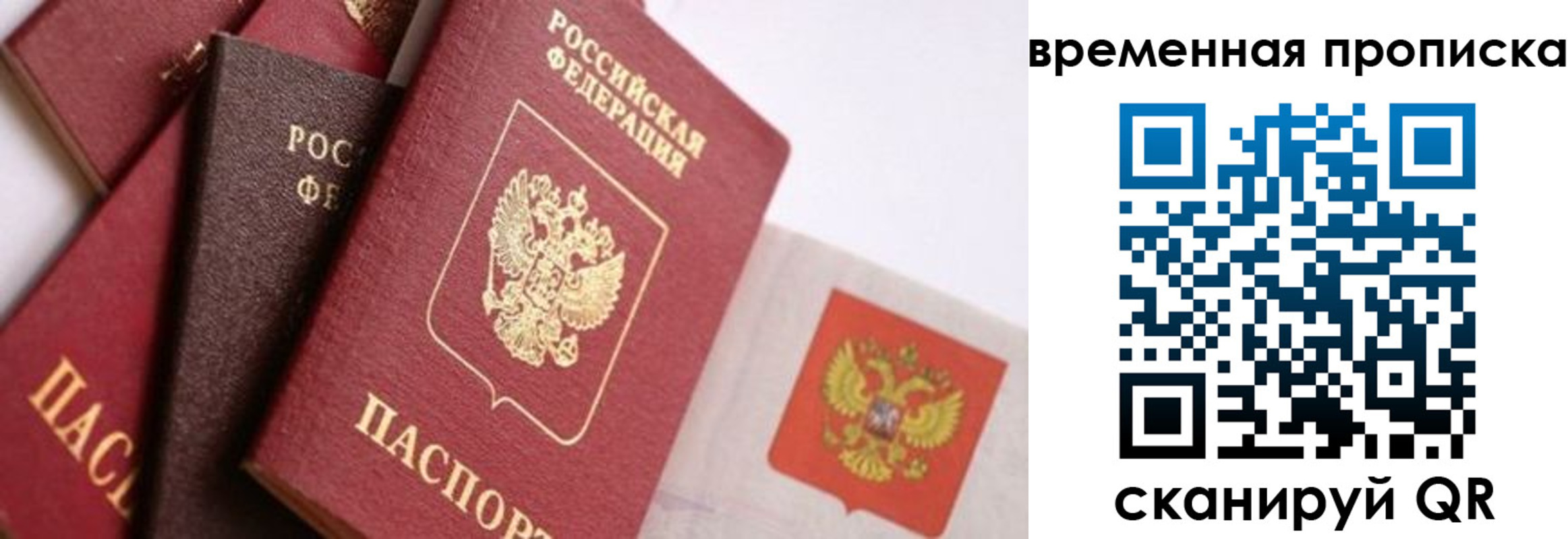 временная регистрация для всех в Коле